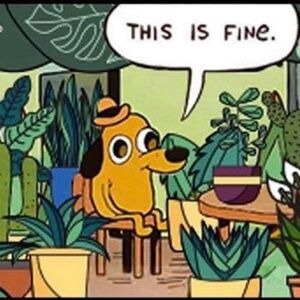 Meet your Posher, Stacey